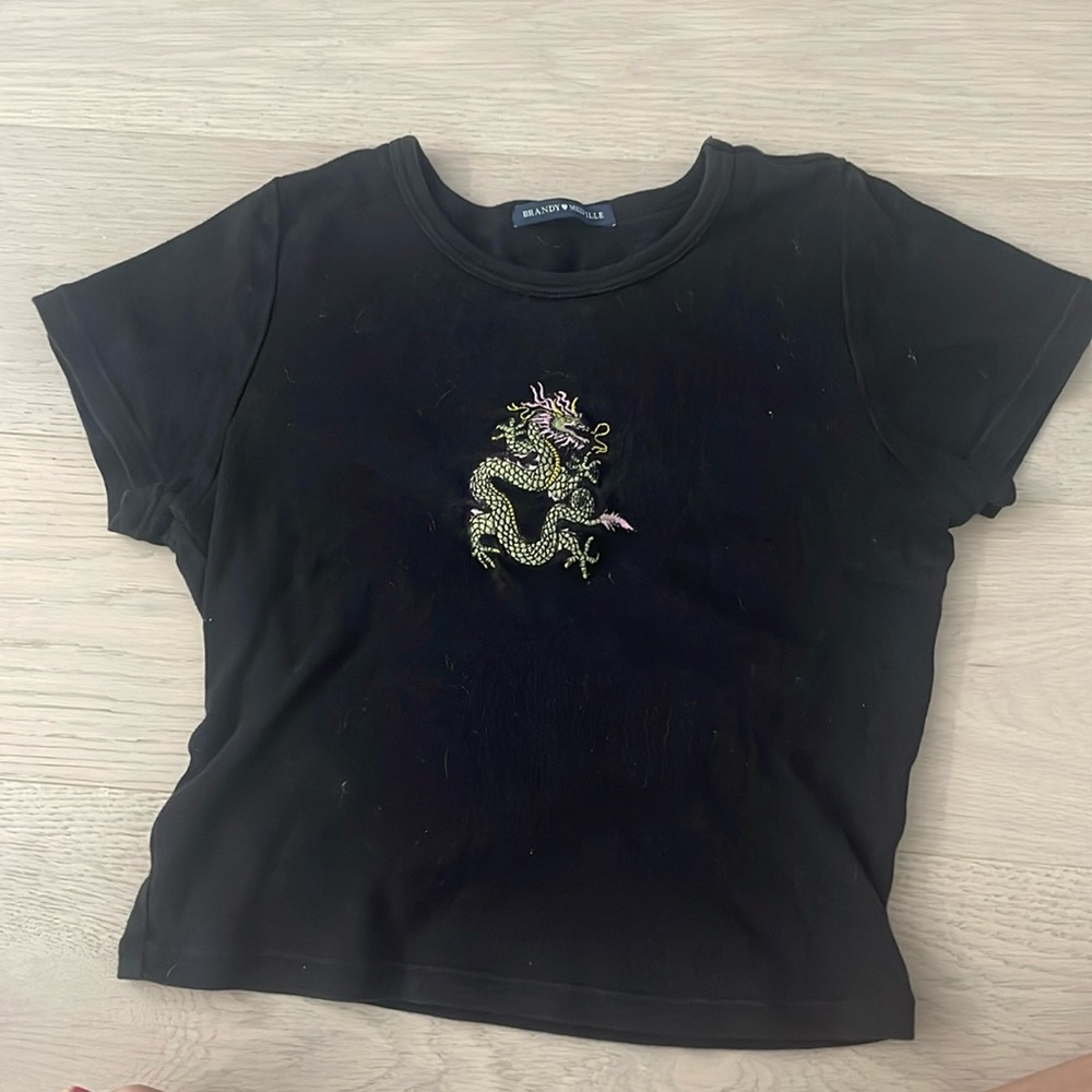 Brandy Melville Cropped  t-shirt
